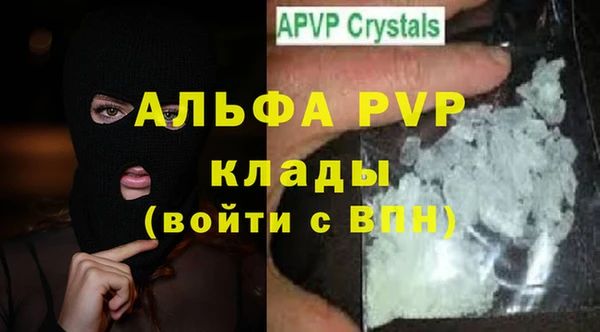 мдпв Каменногорск