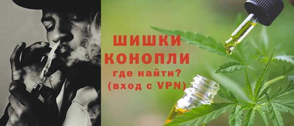 мдпв Каменногорск