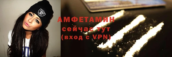 мдпв Каменногорск