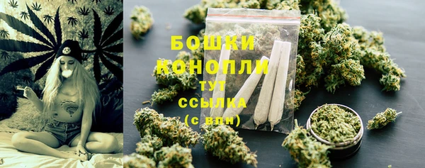 мдпв Каменногорск