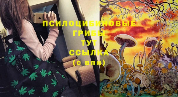 герыч Каменка